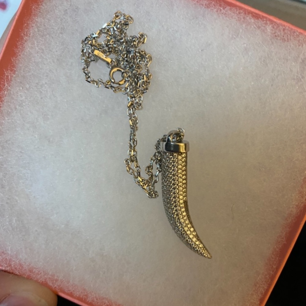 Sterling Silver Cornicello Necklace